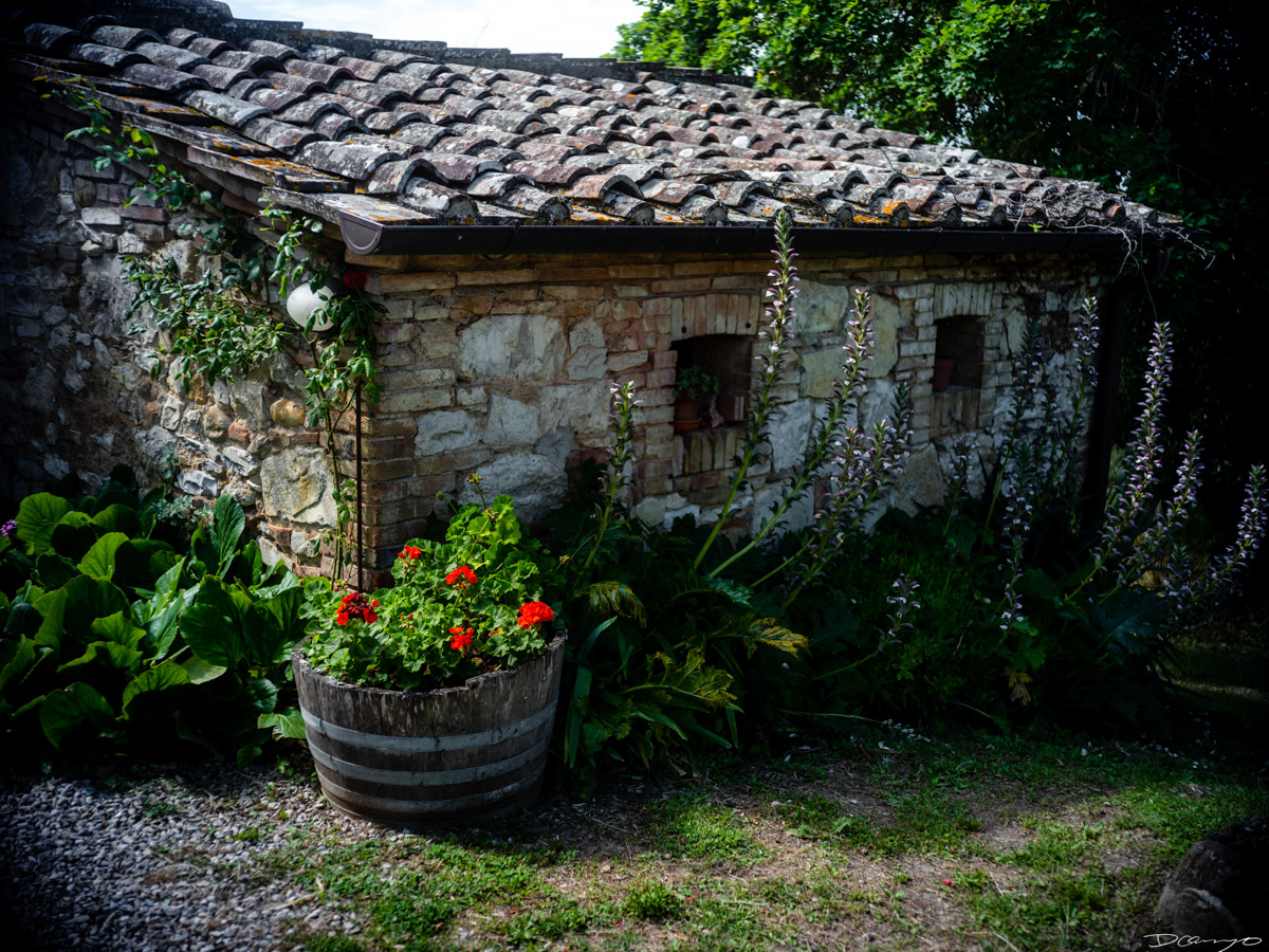 Photos from a trip through Italy in Summer of 2023. Locations include Rome, Florence, Tuscany, Castello di Bossi in Chianti, Siena, San Gimignano, Sirmione on Lake Garda, Bologna, Gudon, Italian Dolomites, Seceda, Cadini di Misurina, and Venice.